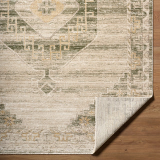 Livabliss Fifth Avenue FIF-2307 Area Rug Pile