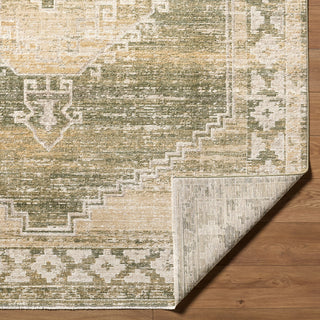 Livabliss Fifth Avenue FIF-2308 Area Rug Pile