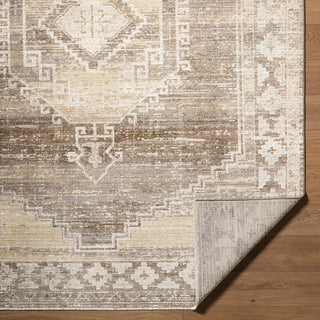 Livabliss Fifth Avenue FIF-2309 Area Rug Pile