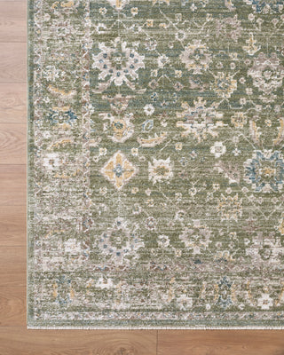 Livabliss Fifth Avenue FIF-2315 Area Rug Overhead Image