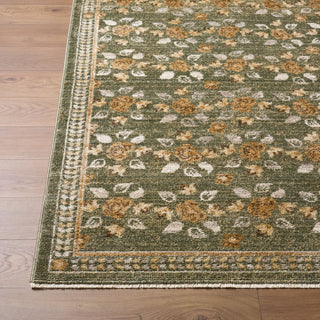 Livabliss Fifth Avenue FIF-2317 Area Rug Angle