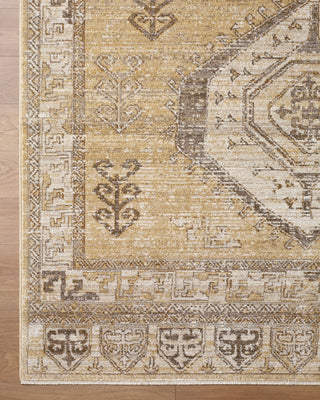 Livabliss Fifth Avenue FIF-2318 Area Rug Overhead Image