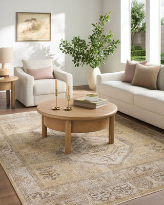 Livabliss Fifth Avenue FIF-2318 Area Rug Room Scene