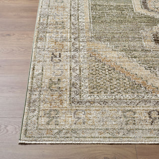 Livabliss Fifth Avenue FIF-2320 Area Rug Angle