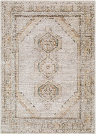 Livabliss Fifth Avenue FIF-2321 Area Rug main image