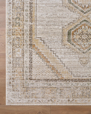 Livabliss Fifth Avenue FIF-2321 Area Rug Overhead Image
