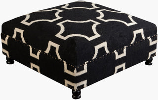 Surya Fallon FL-1003 Black Furniture main image