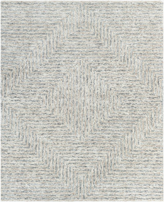 Surya Falcon FLC-8000 Area Rug Main