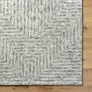 Surya Falcon FLC-8000 Area Rug Detail