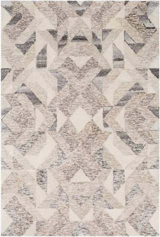 Surya Falcon FLC-8002 Area Rug main image