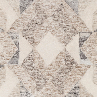 Surya Falcon FLC-8002 Area Rug Swatch