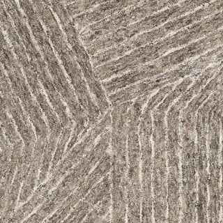 Surya Falcon FLC-8003 Area Rug Swatch