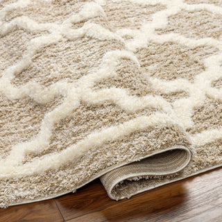 Livabliss Florida FLD-2302 Area Rug Pile