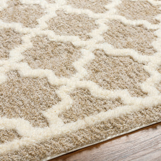 Livabliss Florida FLD-2302 Area Rug Detail