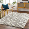 Livabliss Florida FLD-2304 Area Rug Room Scene