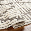 Livabliss Florida FLD-2310 Area Rug Pile