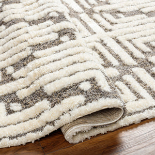 Livabliss Florida FLD-2310 Area Rug Pile