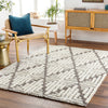 Livabliss Florida FLD-2310 Area Rug Room Scene