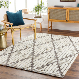 Livabliss Florida FLD-2310 Area Rug Room Scene