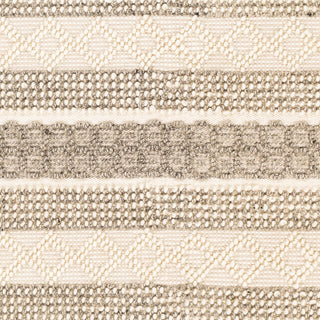Surya Farmhouse Neutrals FLS-2301 Area Rug Swatch