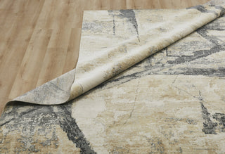 Ancient Boundaries Fortune FOR-1393 Sand/Grey Area Rug Alternative Image