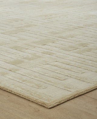 Ancient Boundaries Fortune FOR-1403 Area Rug Corner Image