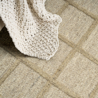 Nourison Pure Framework FRA01 Camel Area Rug by DKNY Texture Image