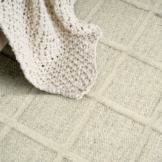 Nourison Pure Framework FRA01 Ivory Area Rug by DKNY Texture Image