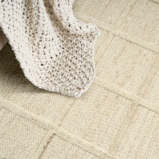 Nourison Pure Framework FRA01 Sand Area Rug by DKNY Texture Image