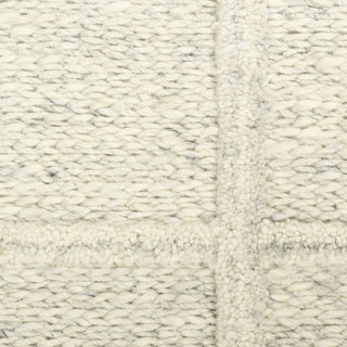 Nourison Pure Framework FRA01 Ivory Area Rug by DKNY Swatch Image