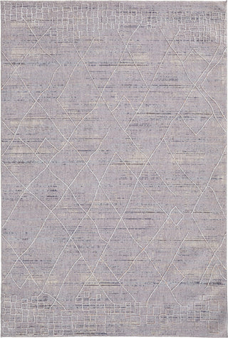 Feizy Francisco 39FCF Gray Area Rug