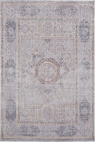 Feizy Francisco 39FDF Gray/Ivory Area Rug