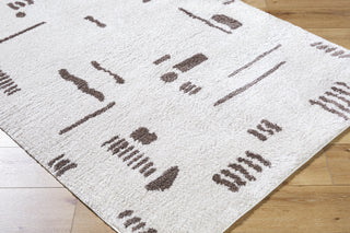 Livabliss Fossay Shag FSG-2300 Machine Washable Area Rug by Surya Corner Shot