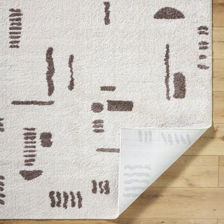Livabliss Fossay Shag FSG-2300 Machine Washable Area Rug by Surya Pile