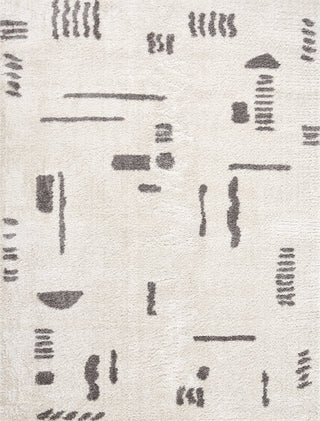Livabliss Fossay Shag FSG-2303 Machine Washable Area Rug by Surya main image
