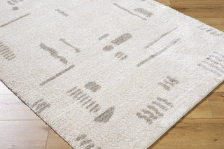 Livabliss Fossay Shag FSG-2304 Machine Washable Area Rug by Surya Corner Shot
