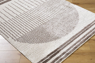 Livabliss Fossay Shag FSG-2305 Machine Washable Area Rug by Surya Corner Shot