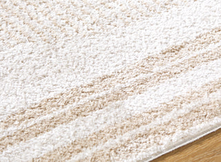 Livabliss Fossay Shag FSG-2306 Machine Washable Area Rug by Surya Detail