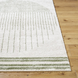 Livabliss Fossay Shag FSG-2307 Machine Washable Area Rug by Surya Angle