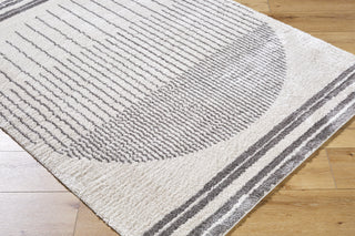 Livabliss Fossay Shag FSG-2308 Machine Washable Area Rug by Surya Corner Shot