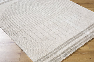 Livabliss Fossay Shag FSG-2309 Machine Washable Area Rug by Surya Corner Shot