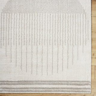 Livabliss Fossay Shag FSG-2309 Machine Washable Area Rug by Surya Detail