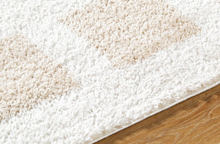 Livabliss Fossay Shag FSG-2314 Machine Washable Area Rug by Surya Detail