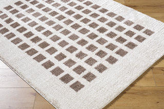 Livabliss Fossay Shag FSG-2318 Machine Washable Area Rug by Surya Corner Shot