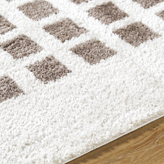 Livabliss Fossay Shag FSG-2318 Machine Washable Area Rug by Surya Detail