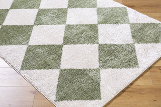 Livabliss Fossay Shag FSG-2325 Machine Washable Area Rug by Surya Corner Shot