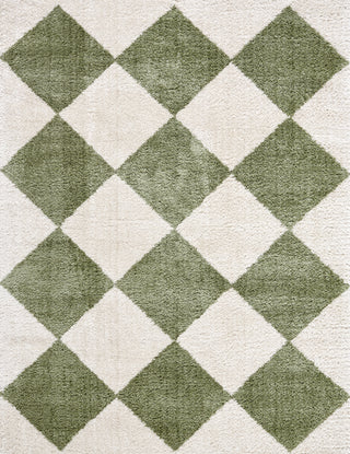 Livabliss Fossay Shag FSG-2325 Machine Washable Area Rug by Surya main image