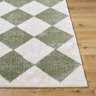 Livabliss Fossay Shag FSG-2325 Machine Washable Area Rug by Surya Angle