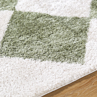 Livabliss Fossay Shag FSG-2325 Machine Washable Area Rug by Surya Detail