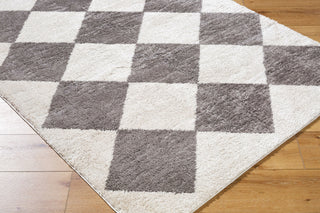 Livabliss Fossay Shag FSG-2326 Light Beige Machine Washable Area Rug Corner Shot
